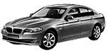 BMW F10 P1273 Fault Code